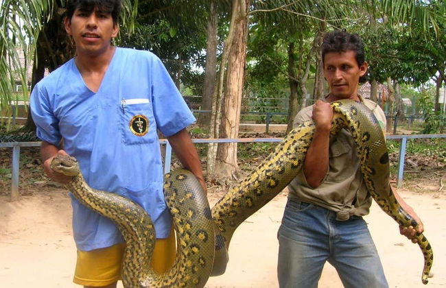 Visite complète de Pucallpa avec billets - Photo 6